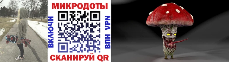 Галлюциногенные грибы Psilocybe  Каневская 